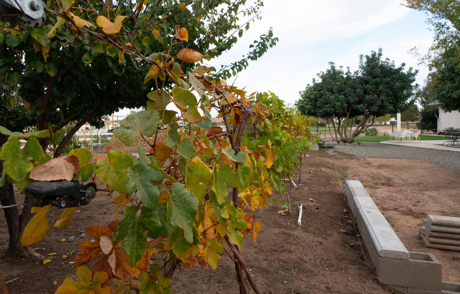 37143 Avenue 16, Madera, CA 93636