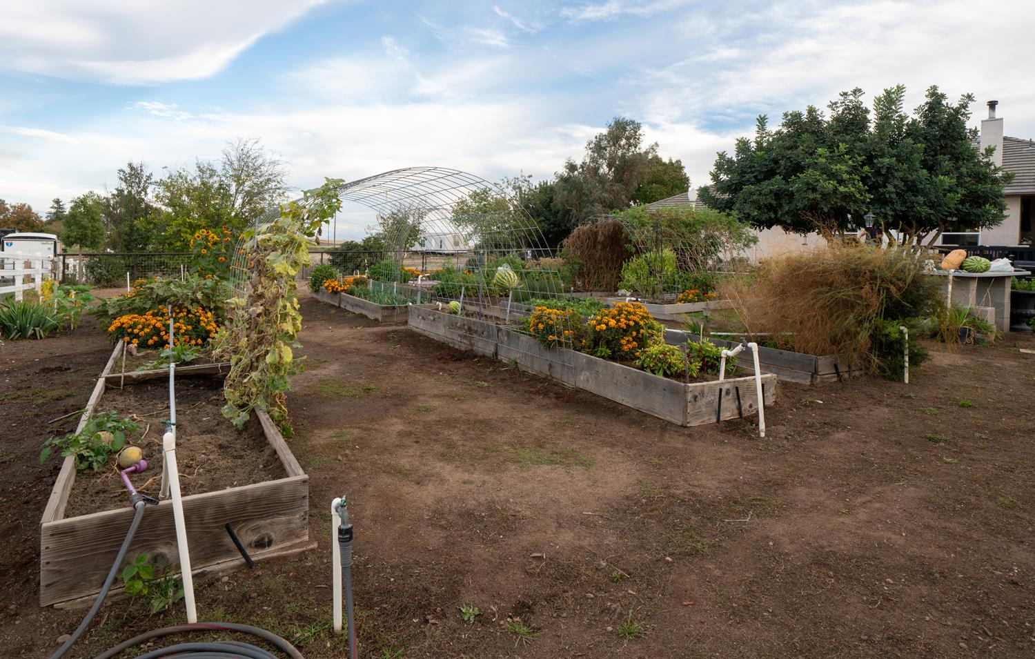 37143 Avenue 16, Madera, CA 93636