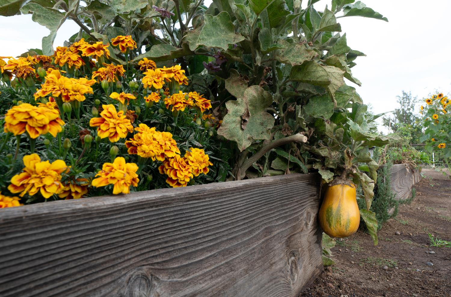 37143 Avenue 16, Madera, CA 93636