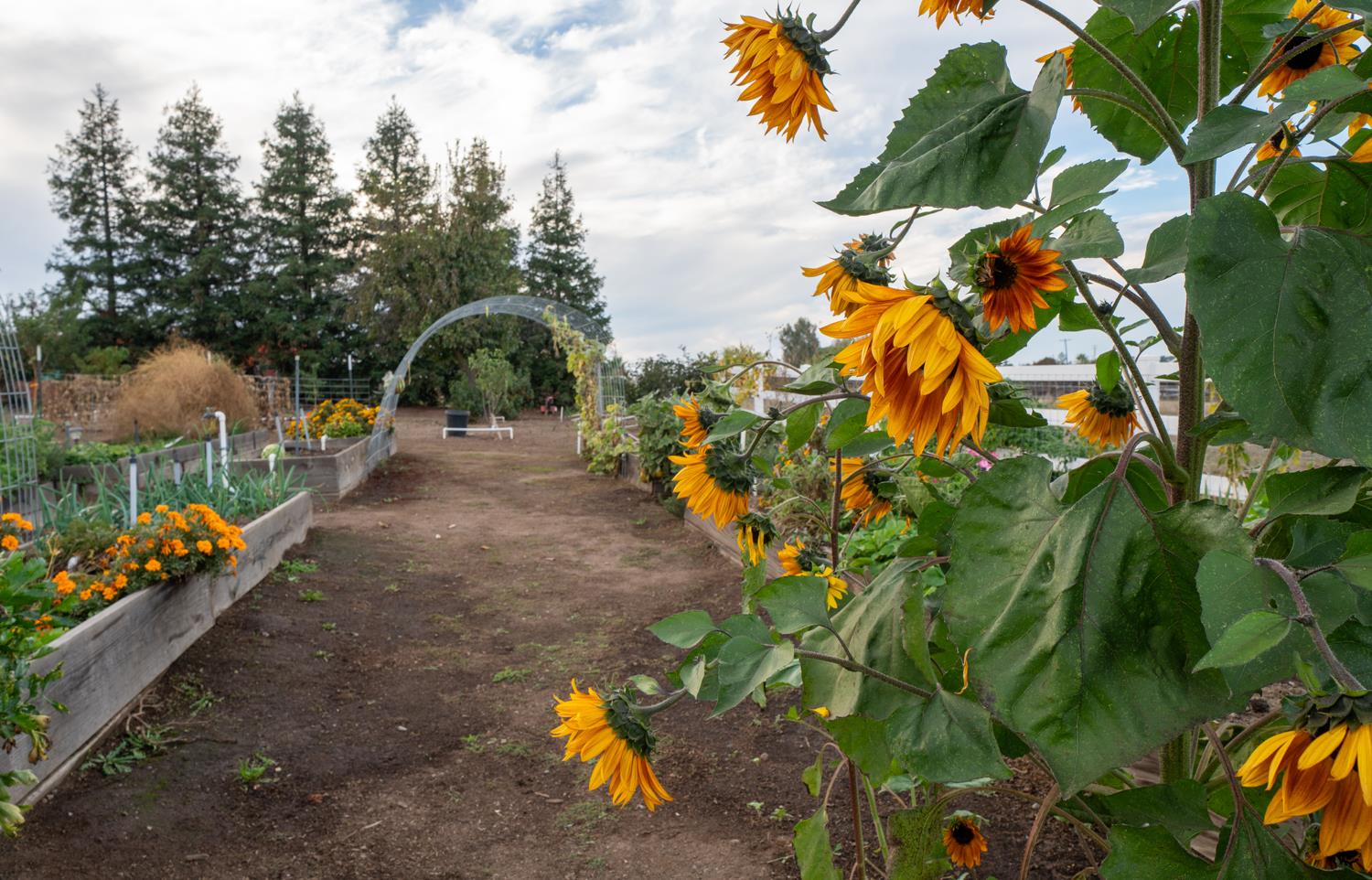 37143 Avenue 16, Madera, CA 93636