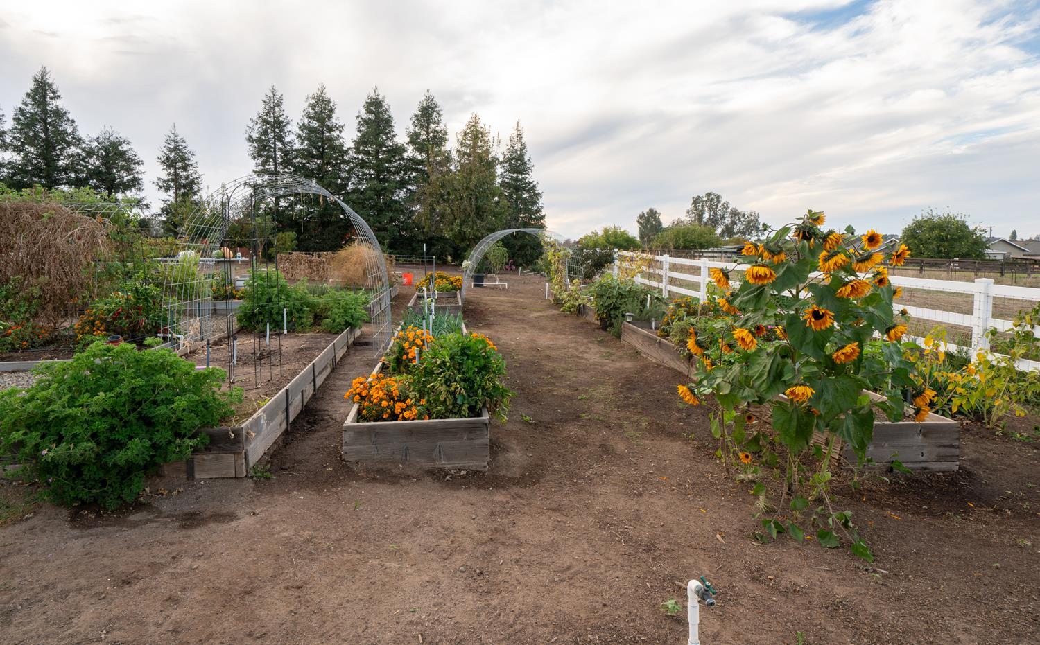 37143 Avenue 16, Madera, CA 93636