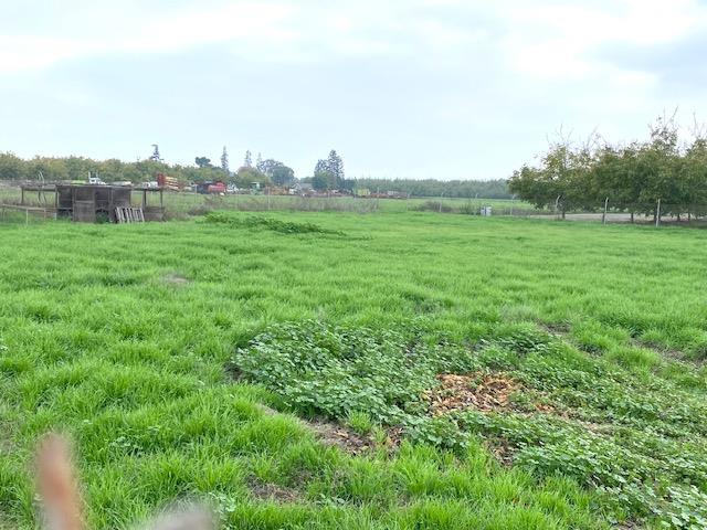 5231 Chico Ave, Kingsburg, CA 93631