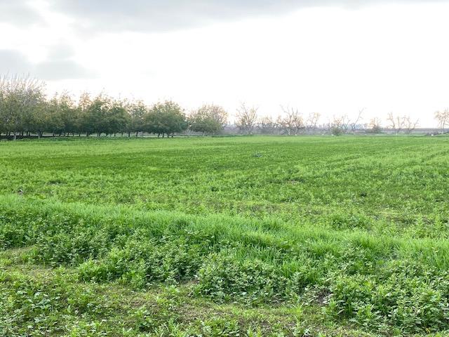 5231 Chico Ave, Kingsburg, CA 93631