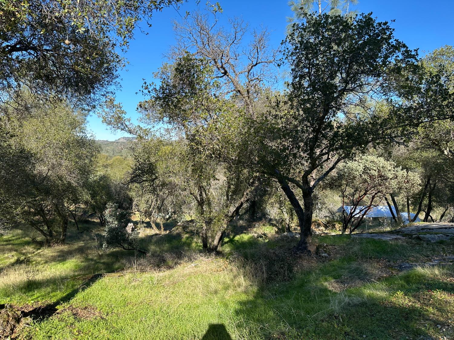 46725 Picayune Creek Rd, Coarsegold, CA 93614