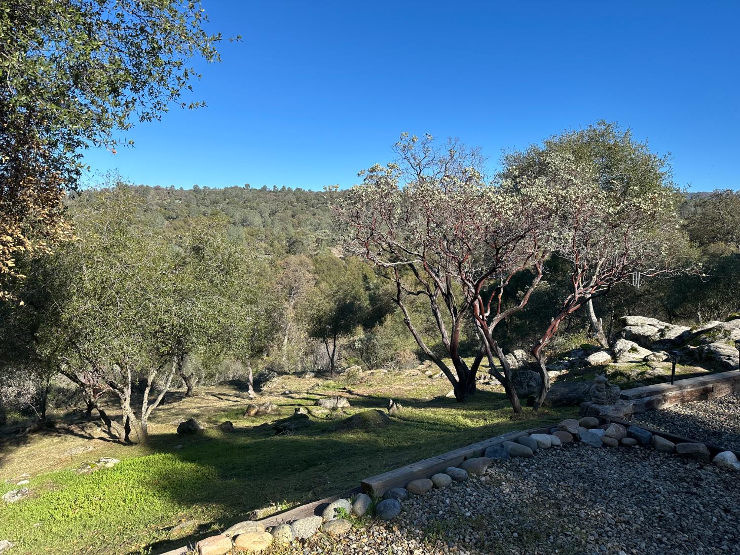 46725 Picayune Creek Rd, Coarsegold, CA 93614