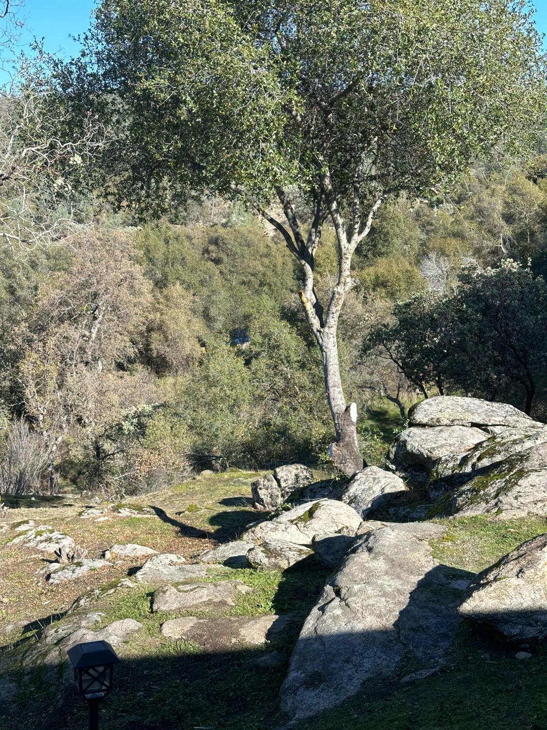 46725 Picayune Creek Rd, Coarsegold, CA 93614