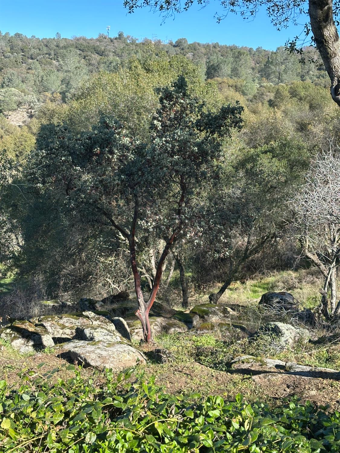 46725 Picayune Creek Rd, Coarsegold, CA 93614