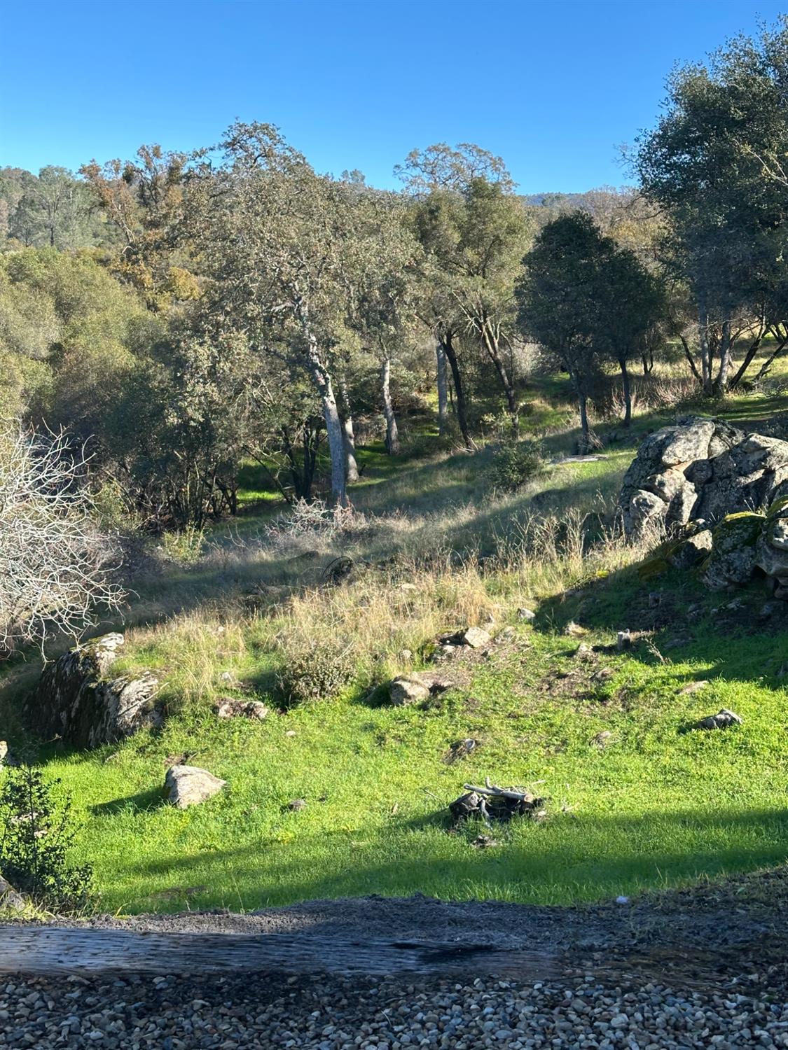 46725 Picayune Creek Rd, Coarsegold, CA 93614