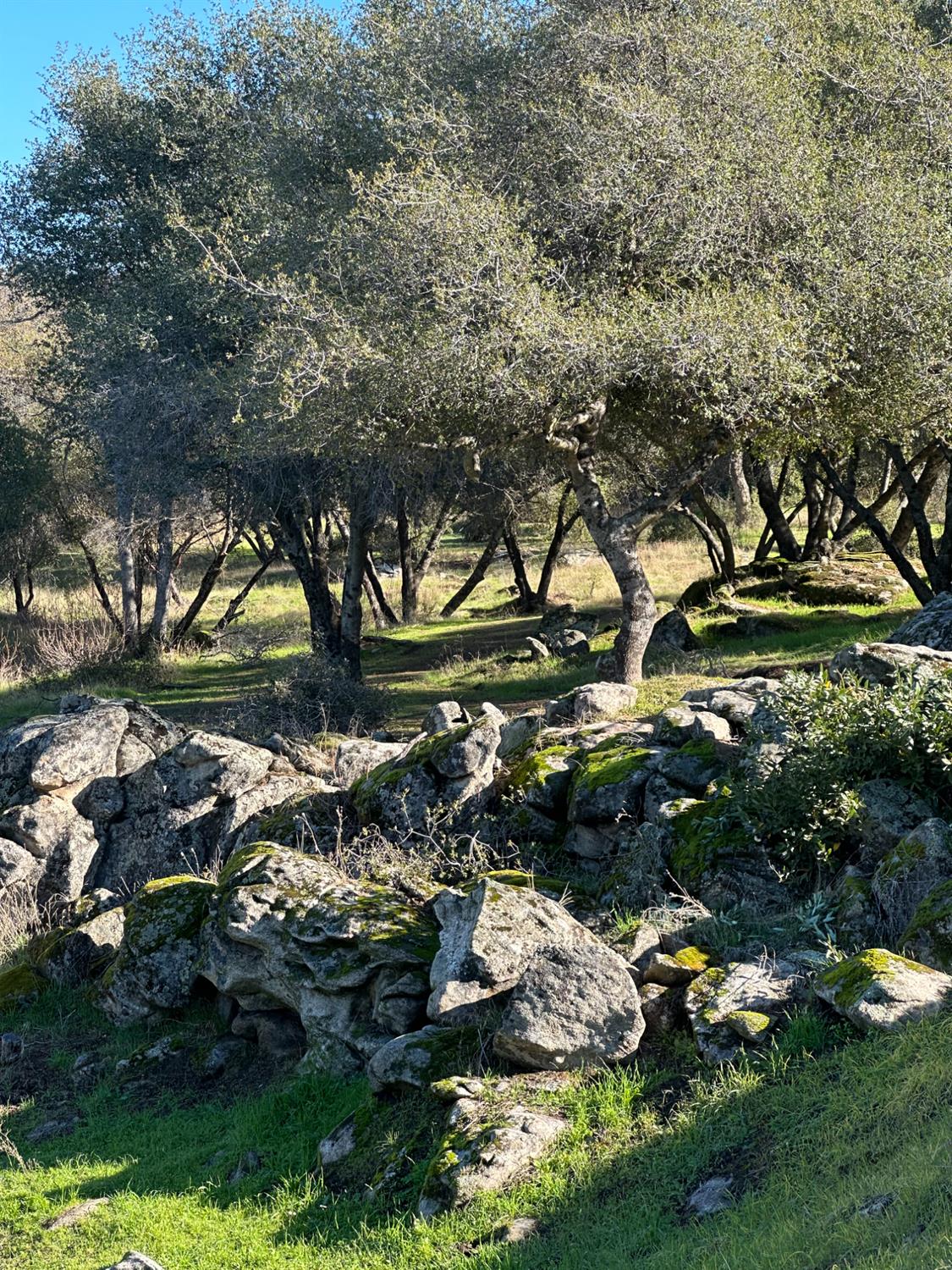 46725 Picayune Creek Rd, Coarsegold, CA 93614