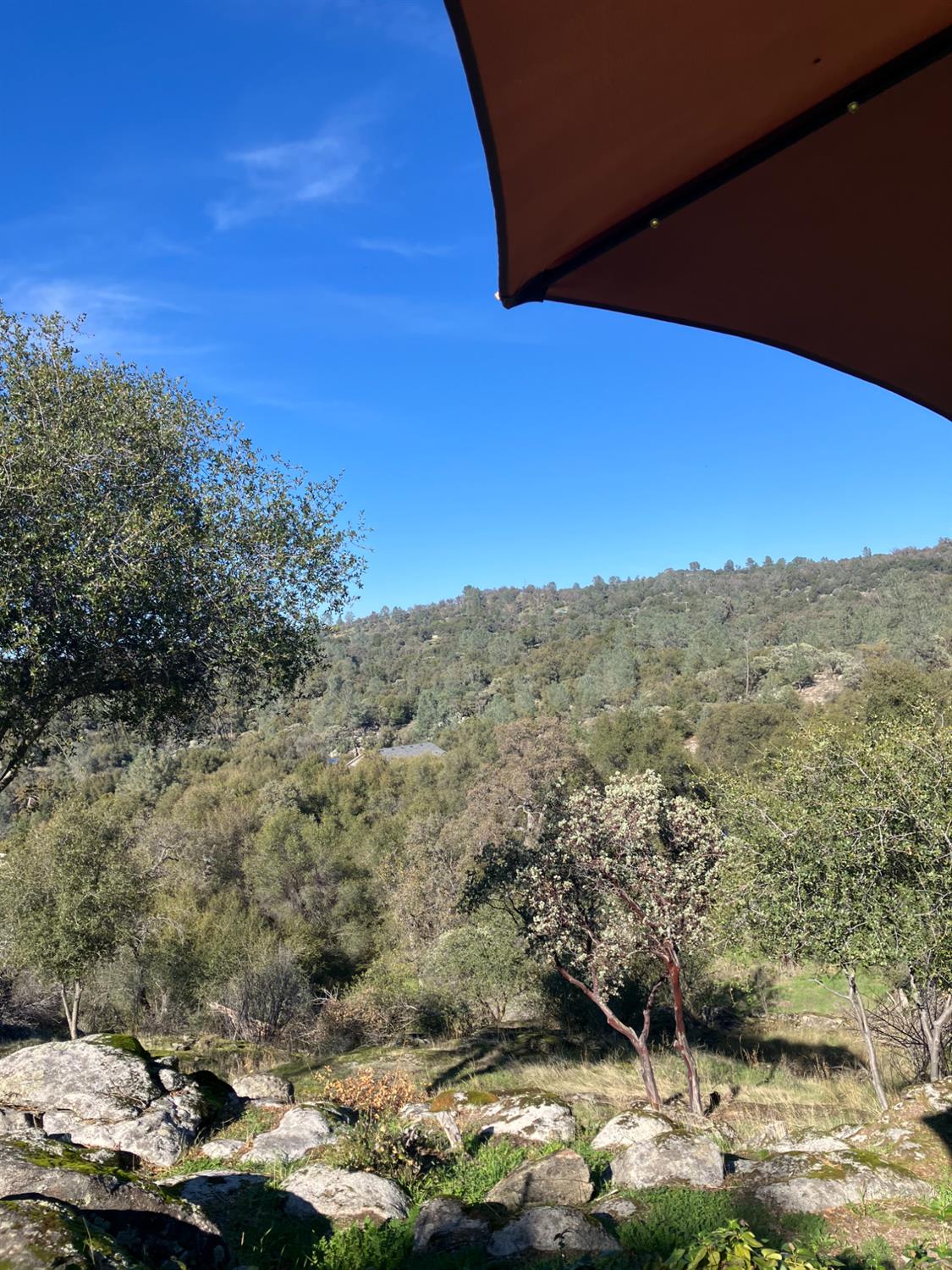 46725 Picayune Creek Rd, Coarsegold, CA 93614