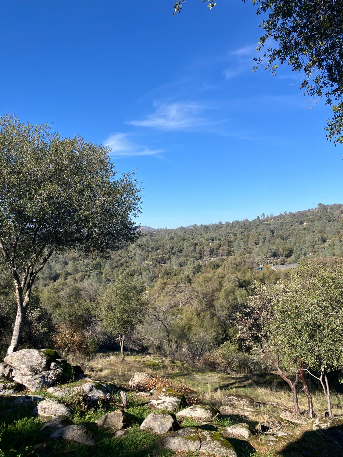 46725 Picayune Creek Rd, Coarsegold, CA 93614