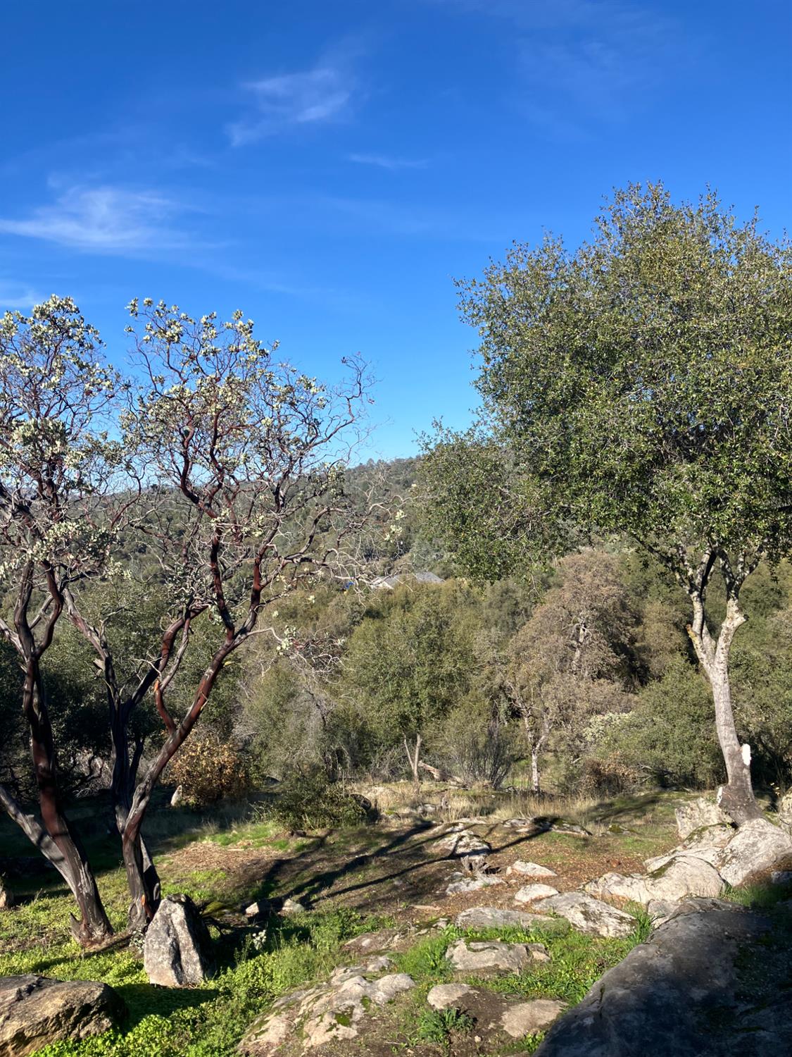 46725 Picayune Creek Rd, Coarsegold, CA 93614