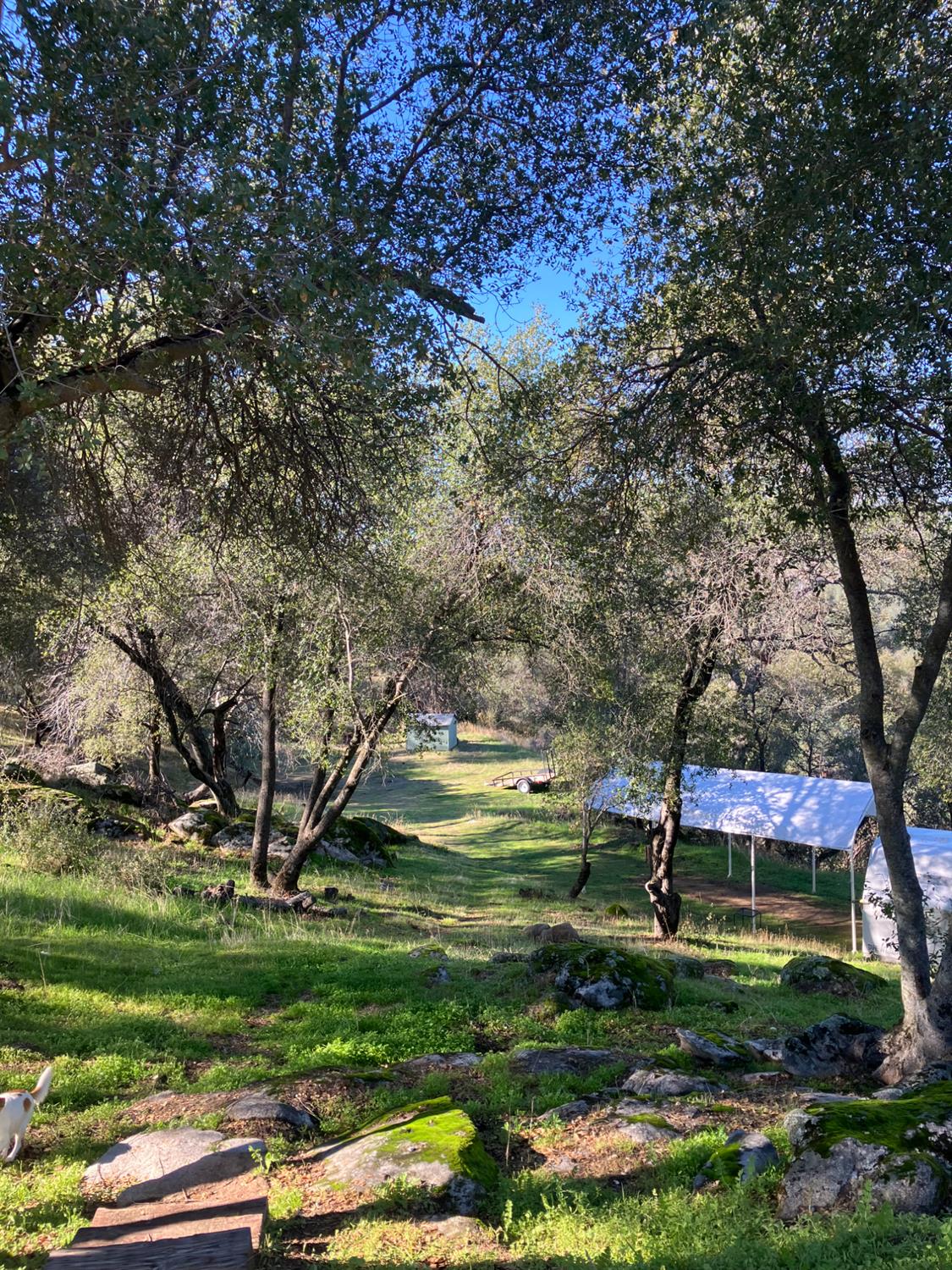 46725 Picayune Creek Rd, Coarsegold, CA 93614