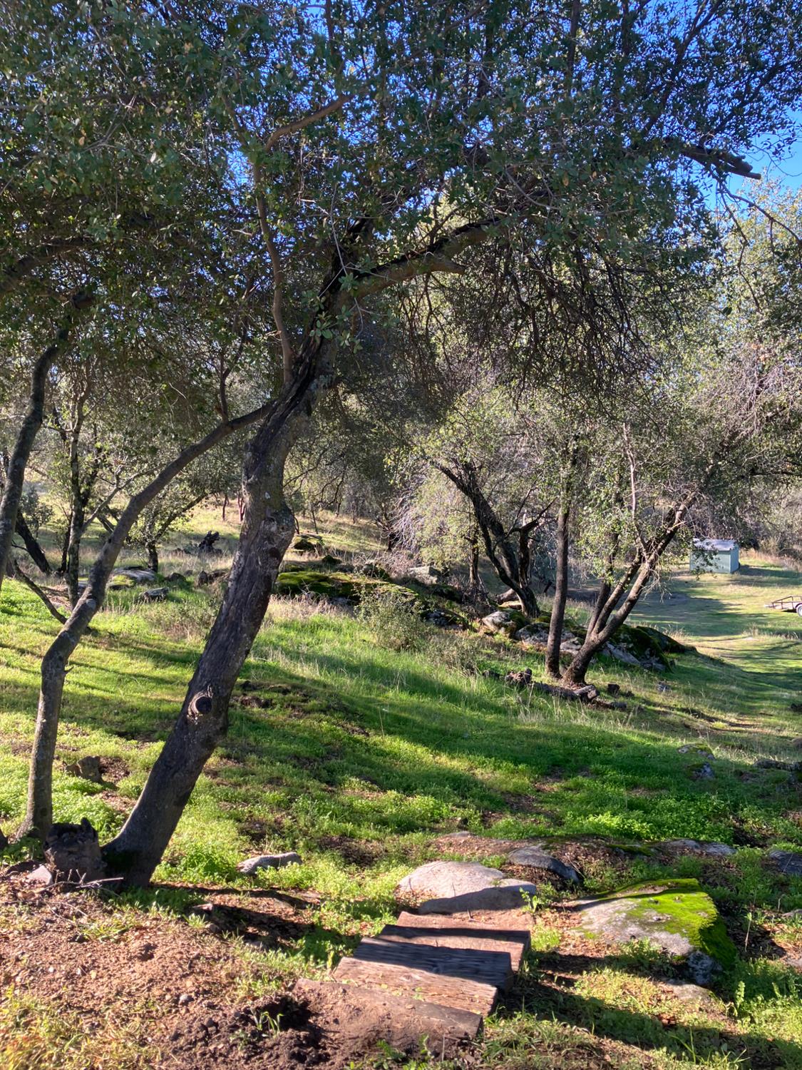 46725 Picayune Creek Rd, Coarsegold, CA 93614