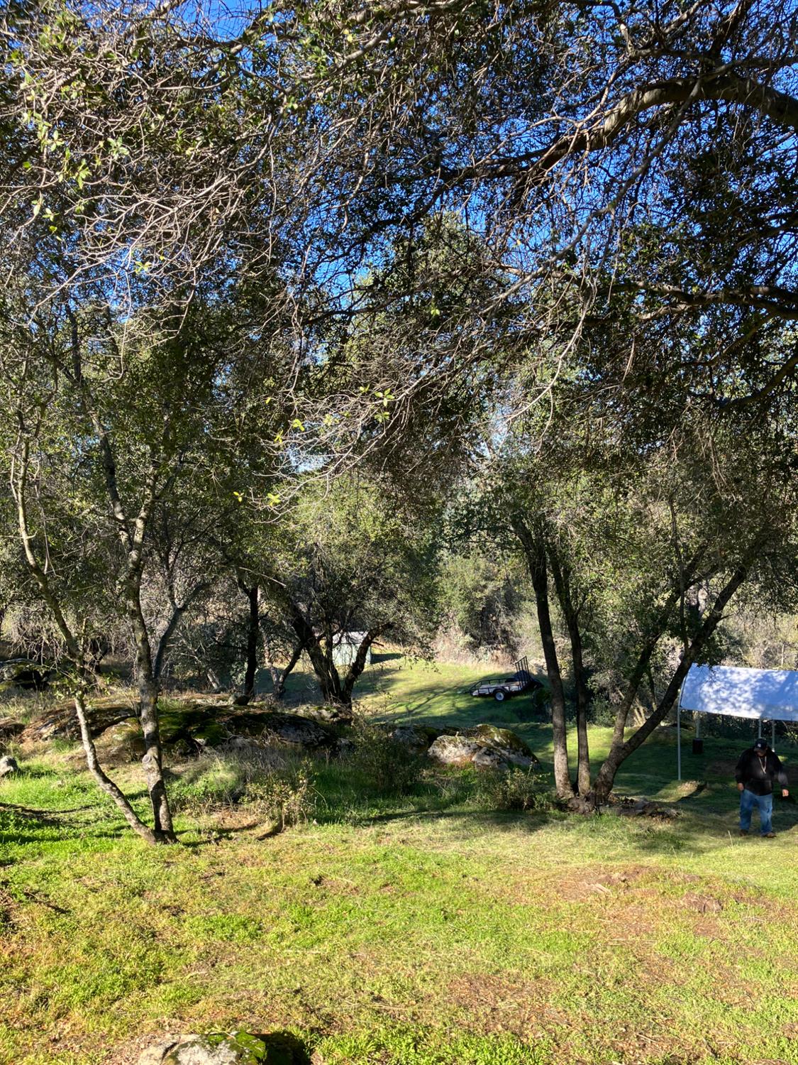 46725 Picayune Creek Rd, Coarsegold, CA 93614