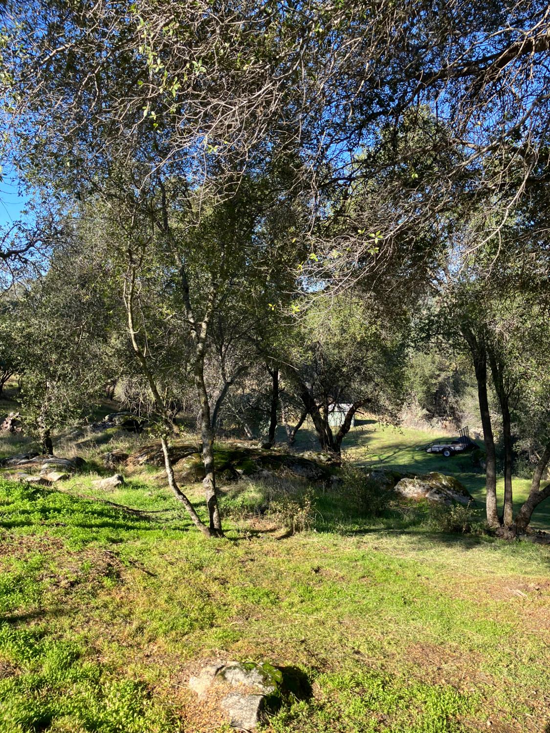 46725 Picayune Creek Rd, Coarsegold, CA 93614