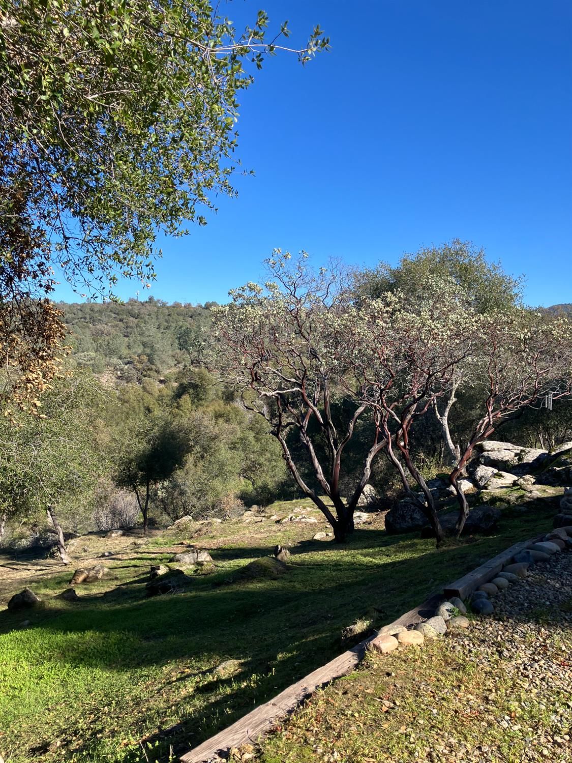 46725 Picayune Creek Rd, Coarsegold, CA 93614