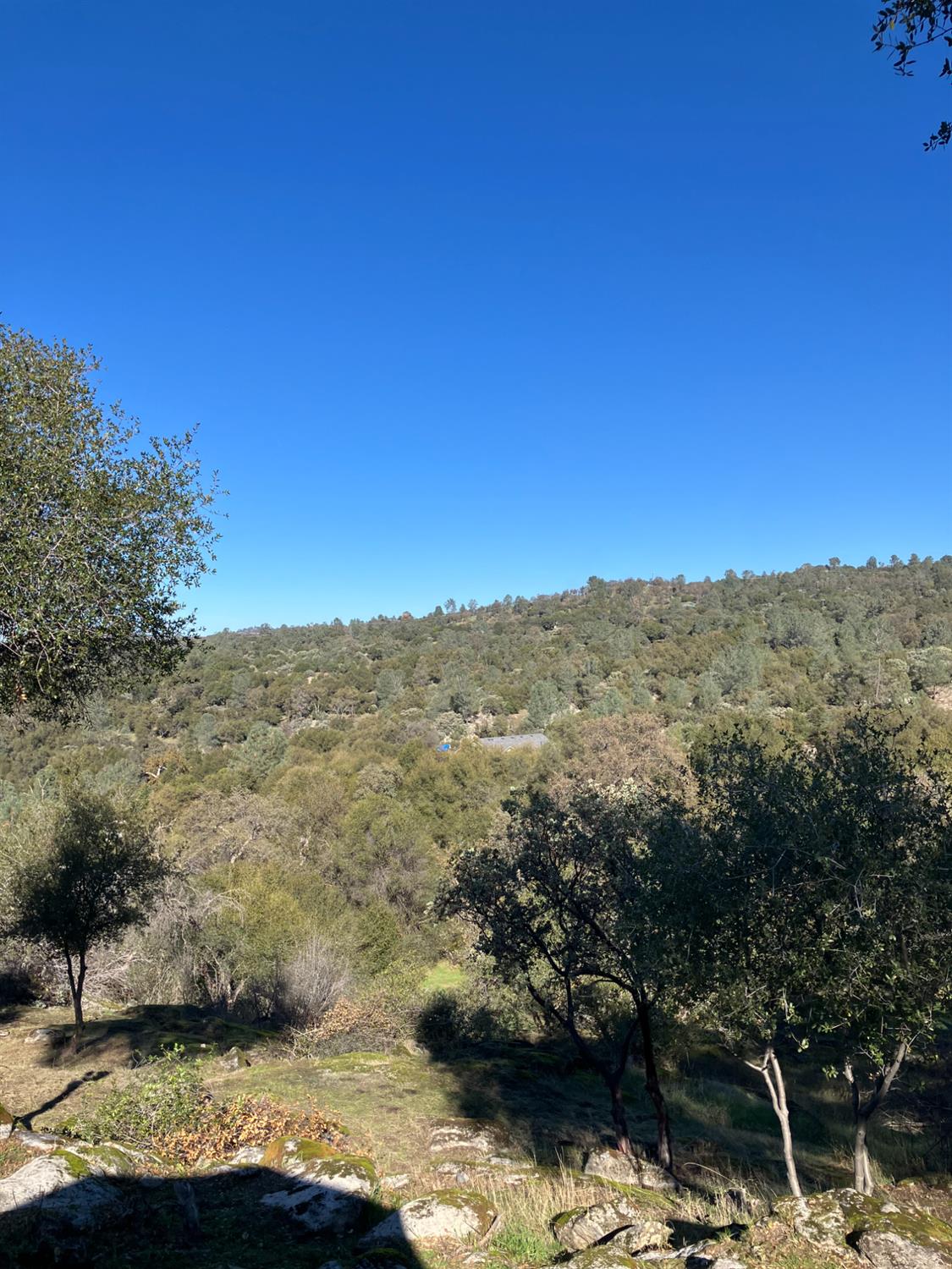 46725 Picayune Creek Rd, Coarsegold, CA 93614