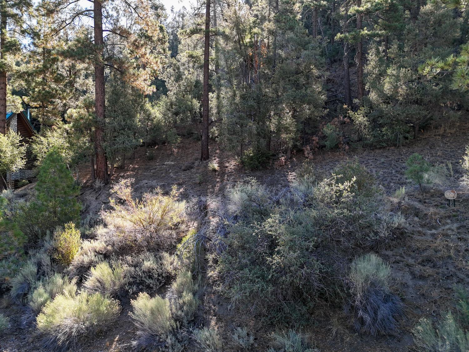 2000 Ironwood Dr, Frazier Park, CA 93222