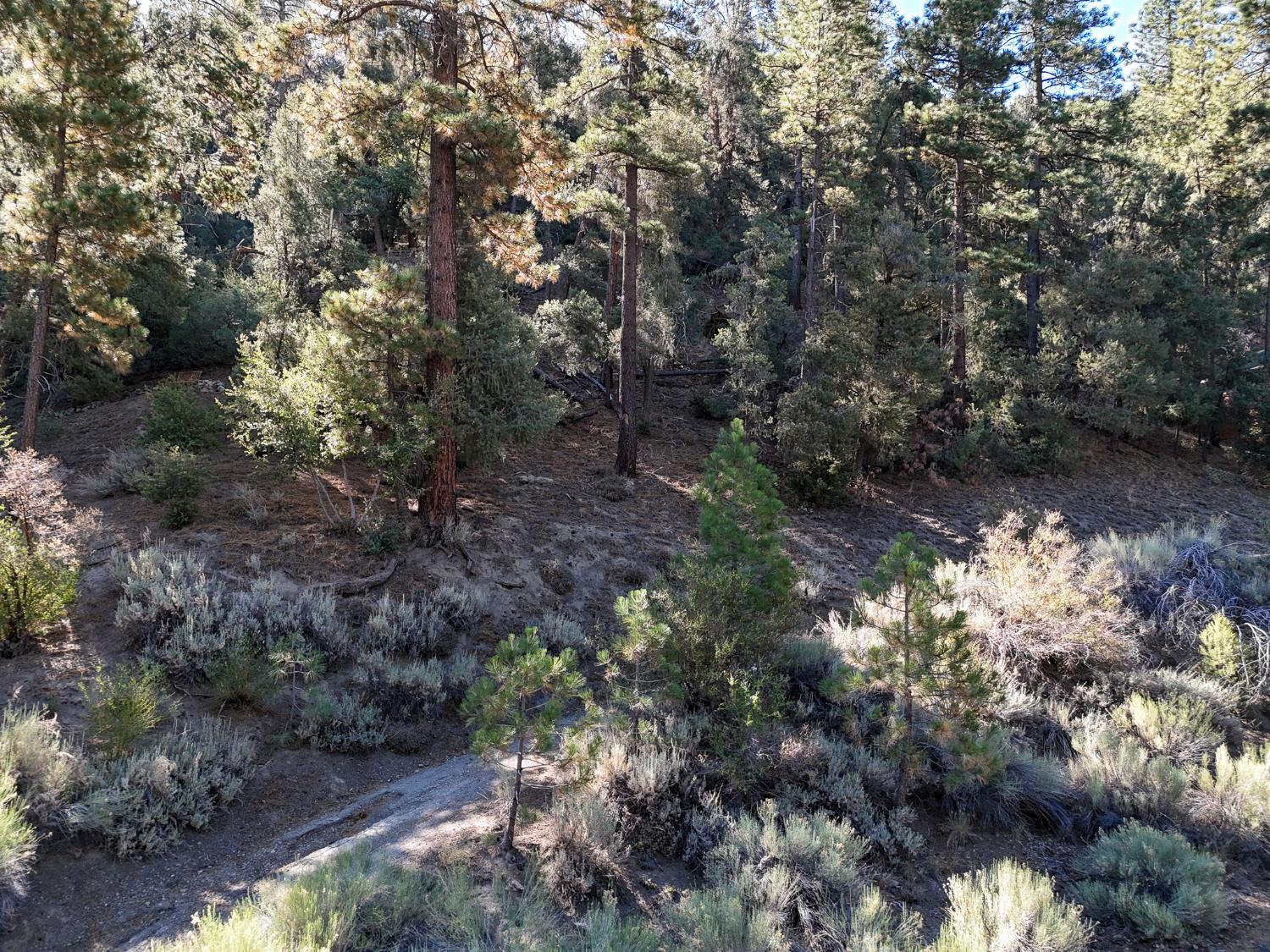 2000 Ironwood Dr, Frazier Park, CA 93222