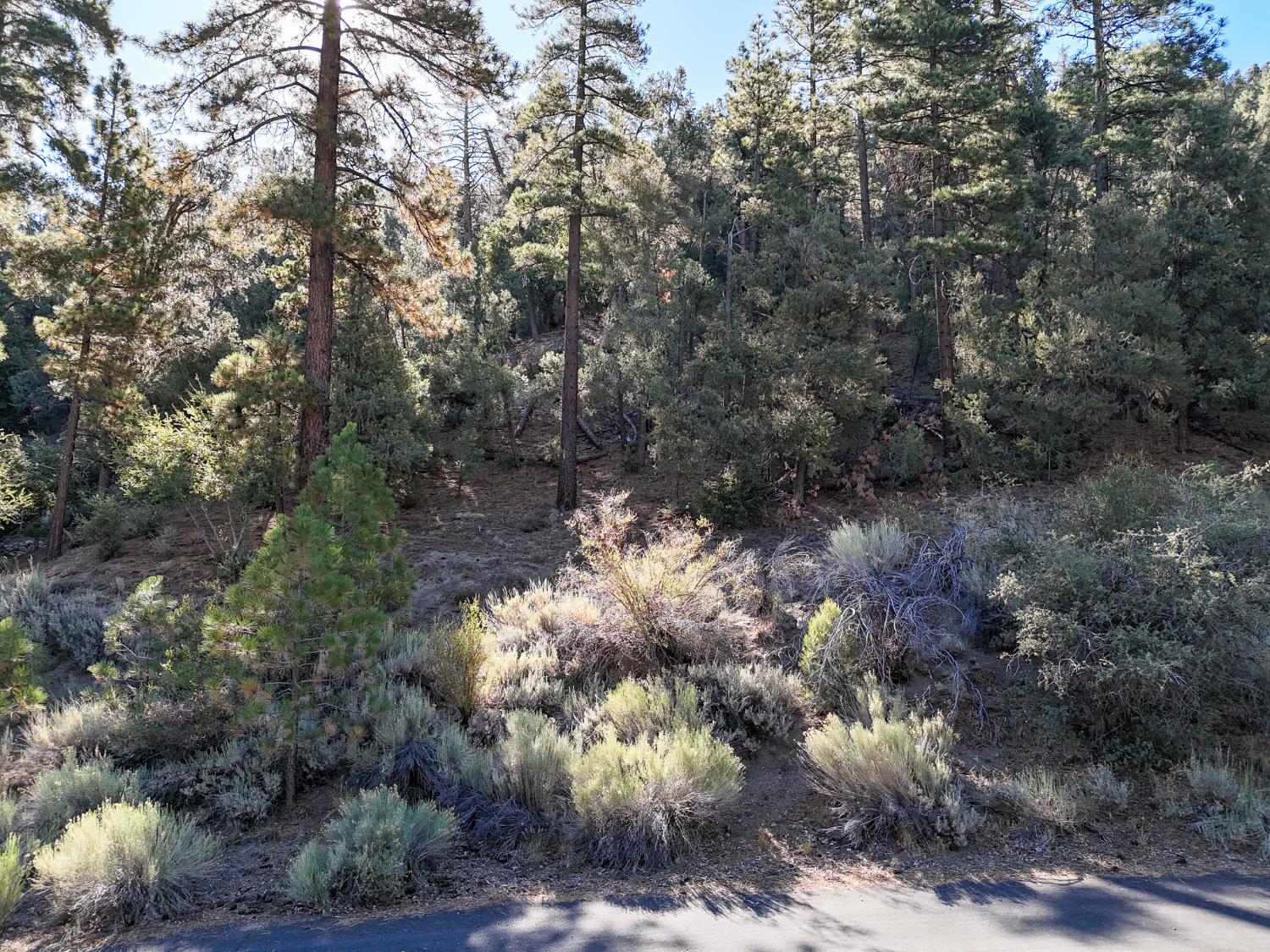 2000 Ironwood Dr, Frazier Park, CA 93222