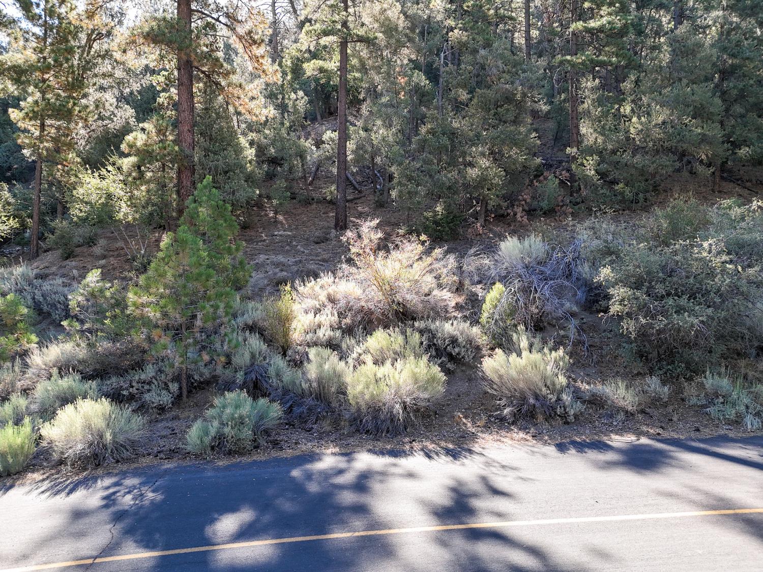 2000 Ironwood Dr, Frazier Park, CA 93222