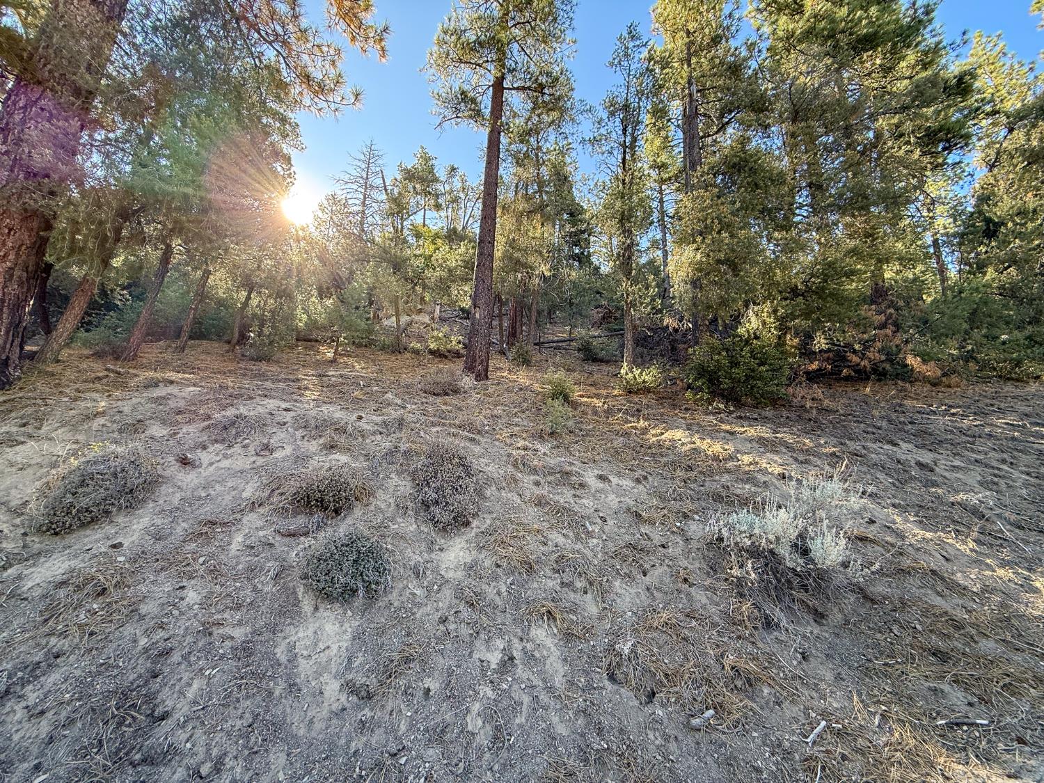 2000 Ironwood Dr, Frazier Park, CA 93222