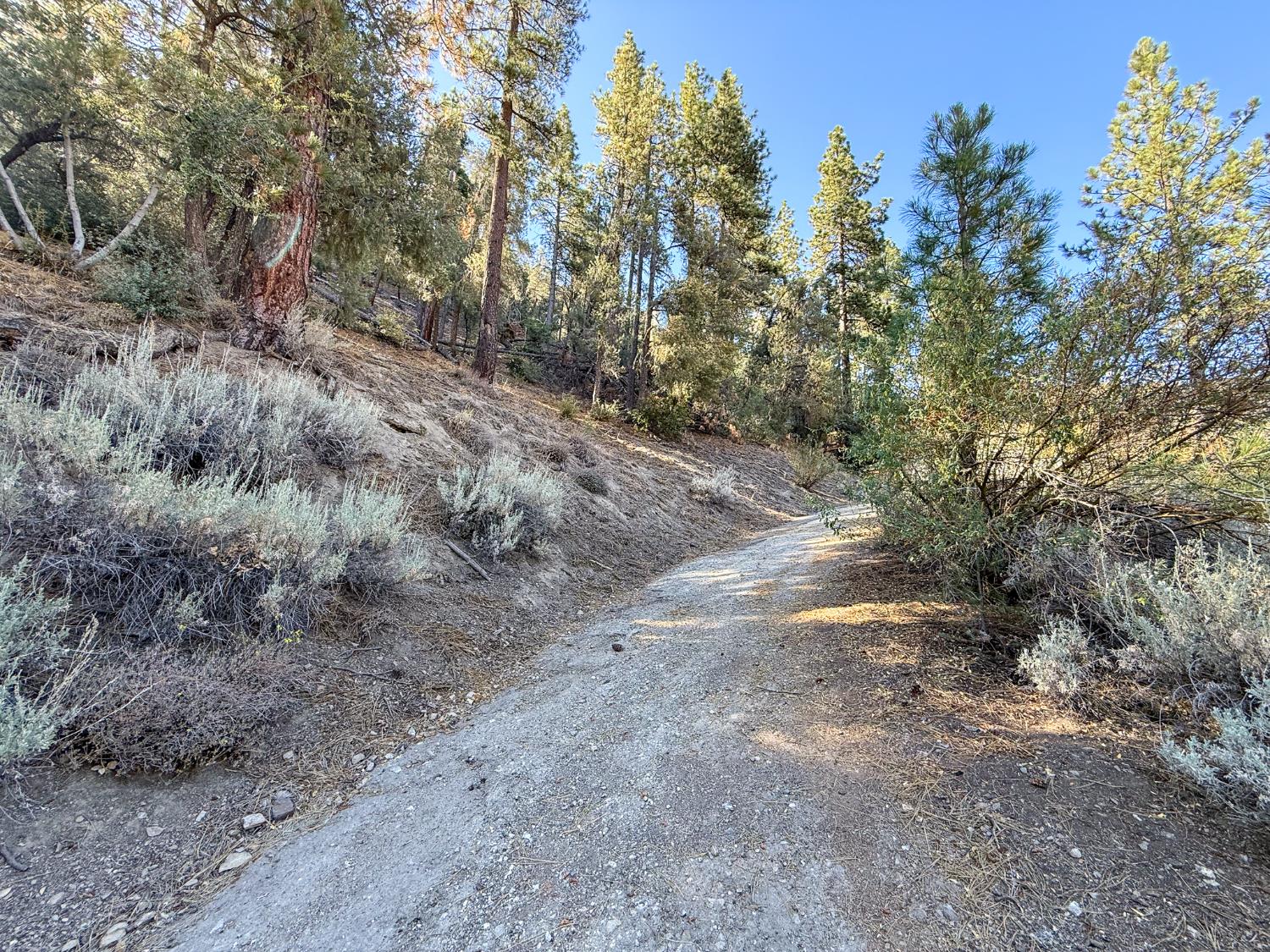 2000 Ironwood Dr, Frazier Park, CA 93222