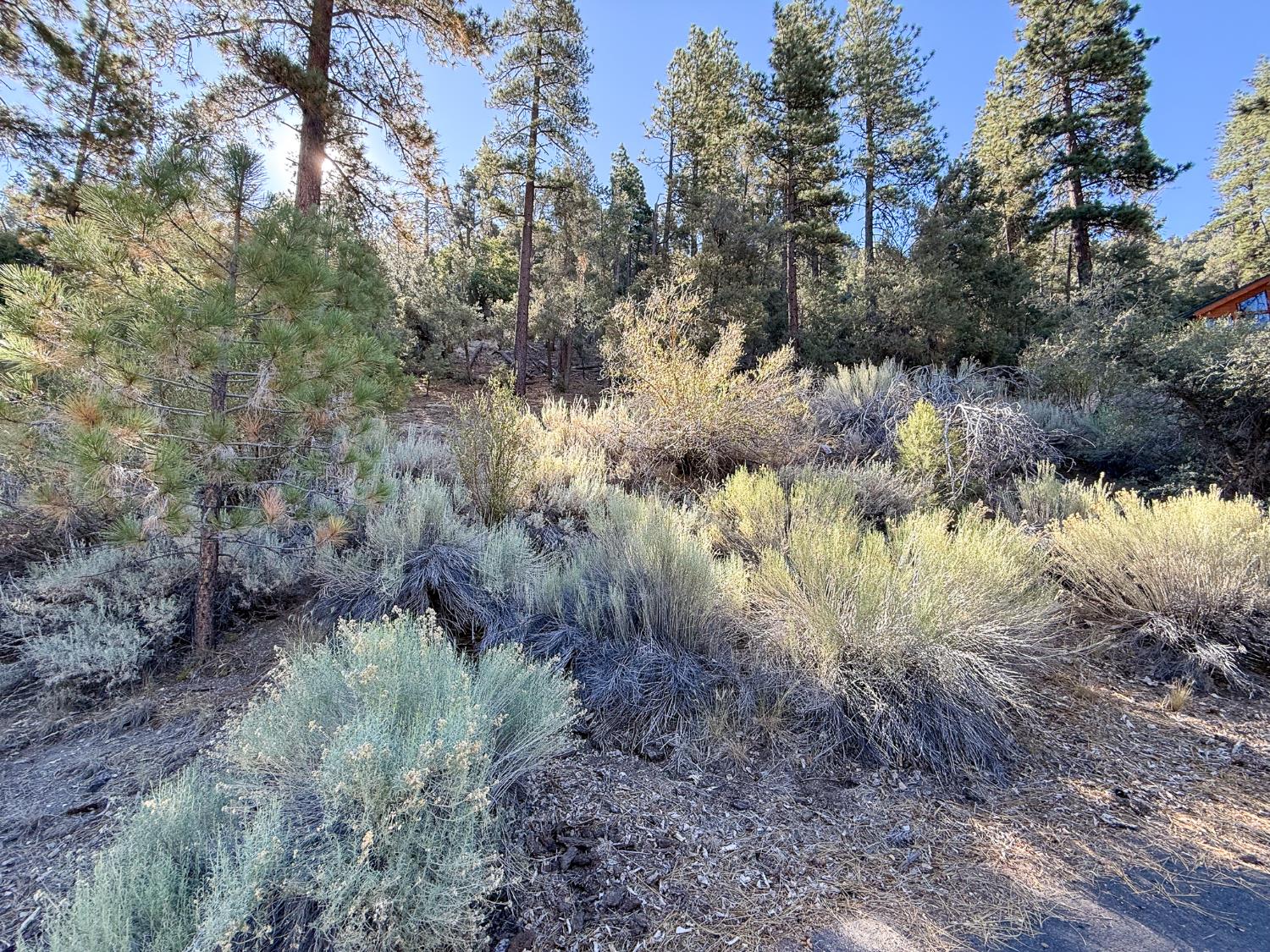 2000 Ironwood Dr, Frazier Park, CA 93222