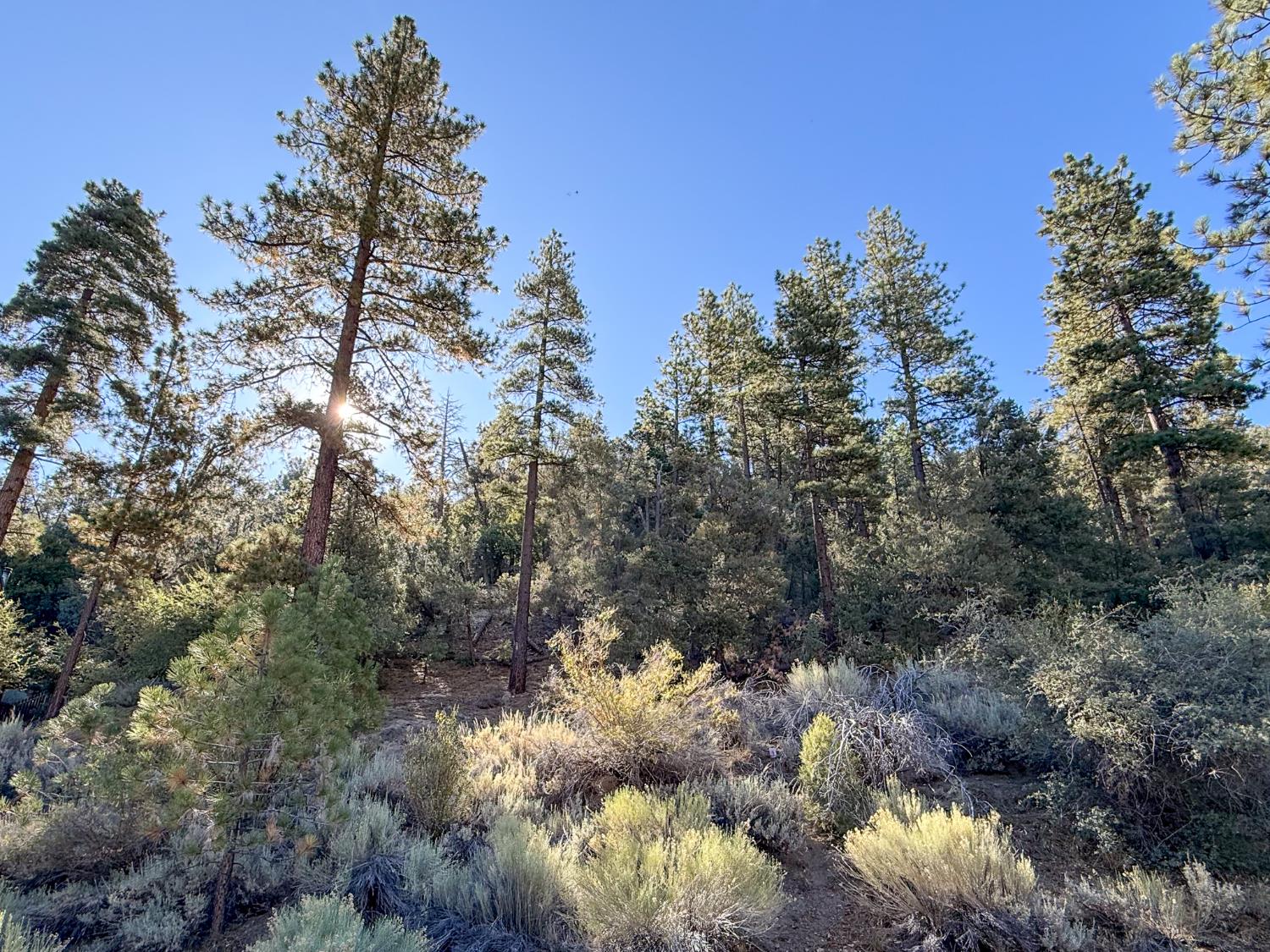 2000 Ironwood Dr, Frazier Park, CA 93222