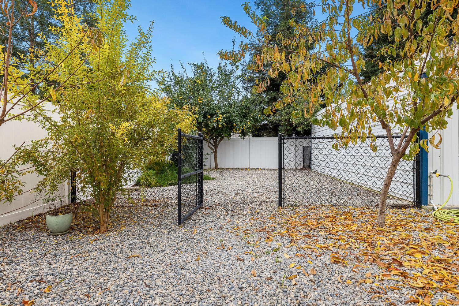 2444 Ashcroft Ave, Clovis, CA 93611