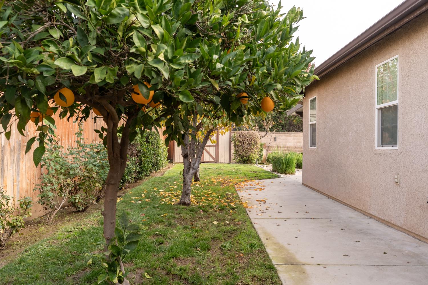 2449 Megan Ave, Clovis, CA 93611