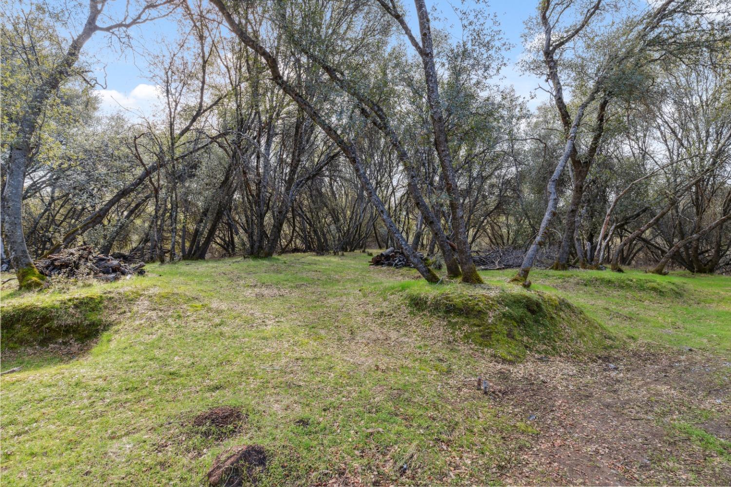 47684 Willow Pond Way, Coarsegold, CA 93614