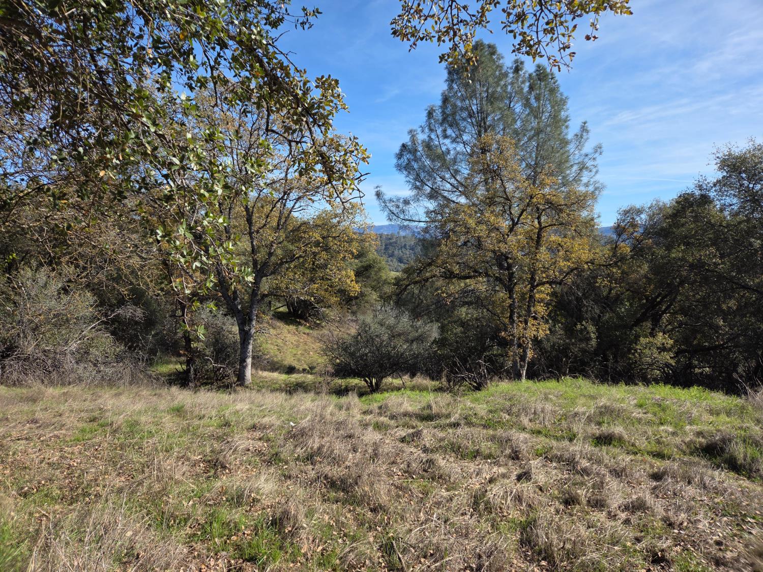 12 12.19 AC Road 222, North Fork, CA 93643