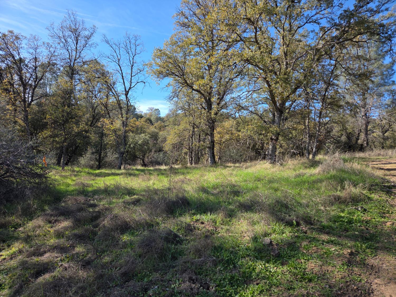 12 12.19 AC Road 222, North Fork, CA 93643