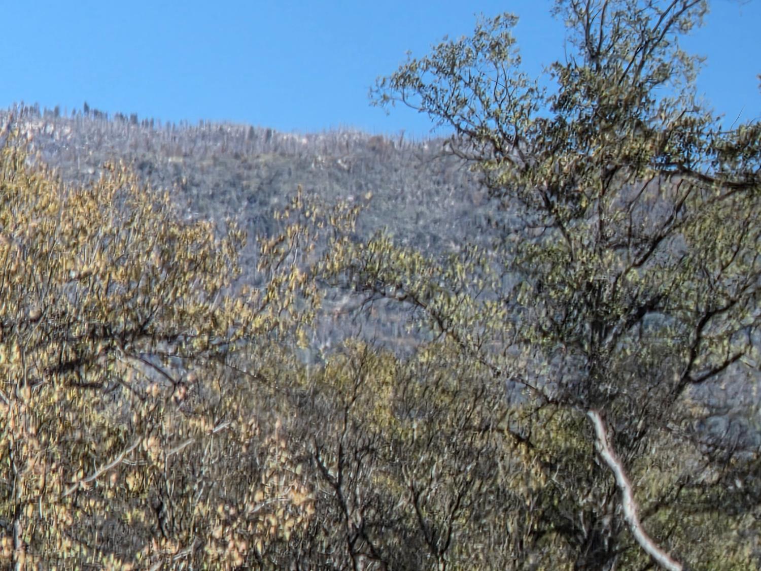12 12.19 AC Road 222, North Fork, CA 93643