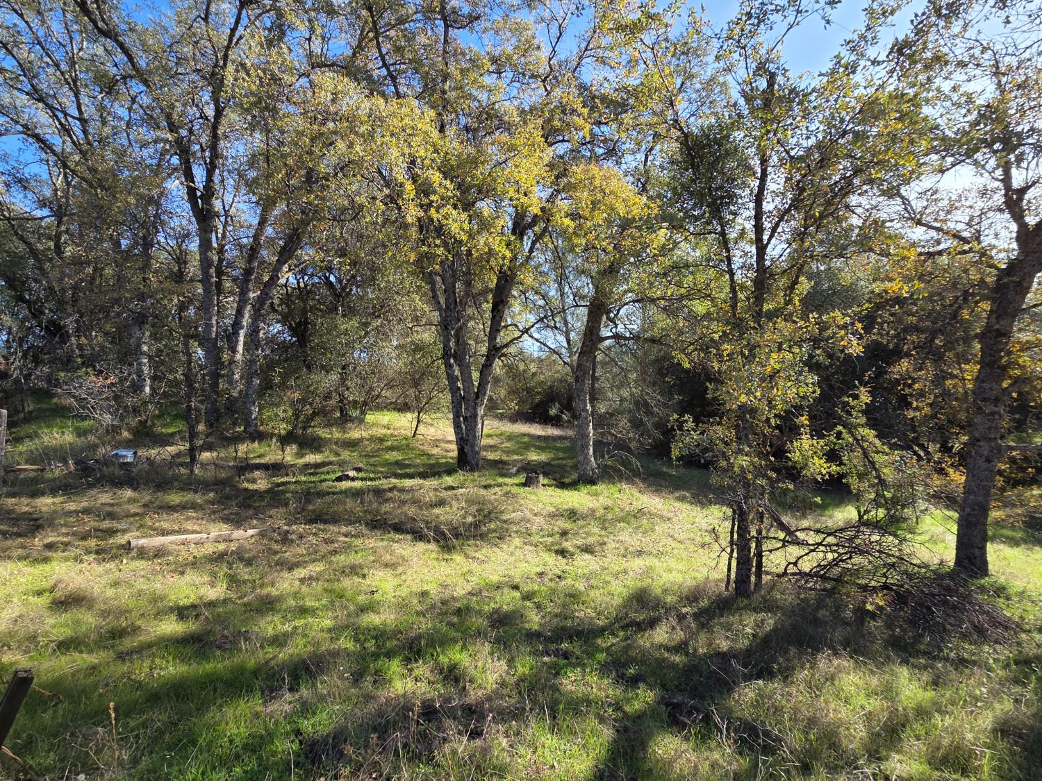 12 12.19 AC Road 222, North Fork, CA 93643