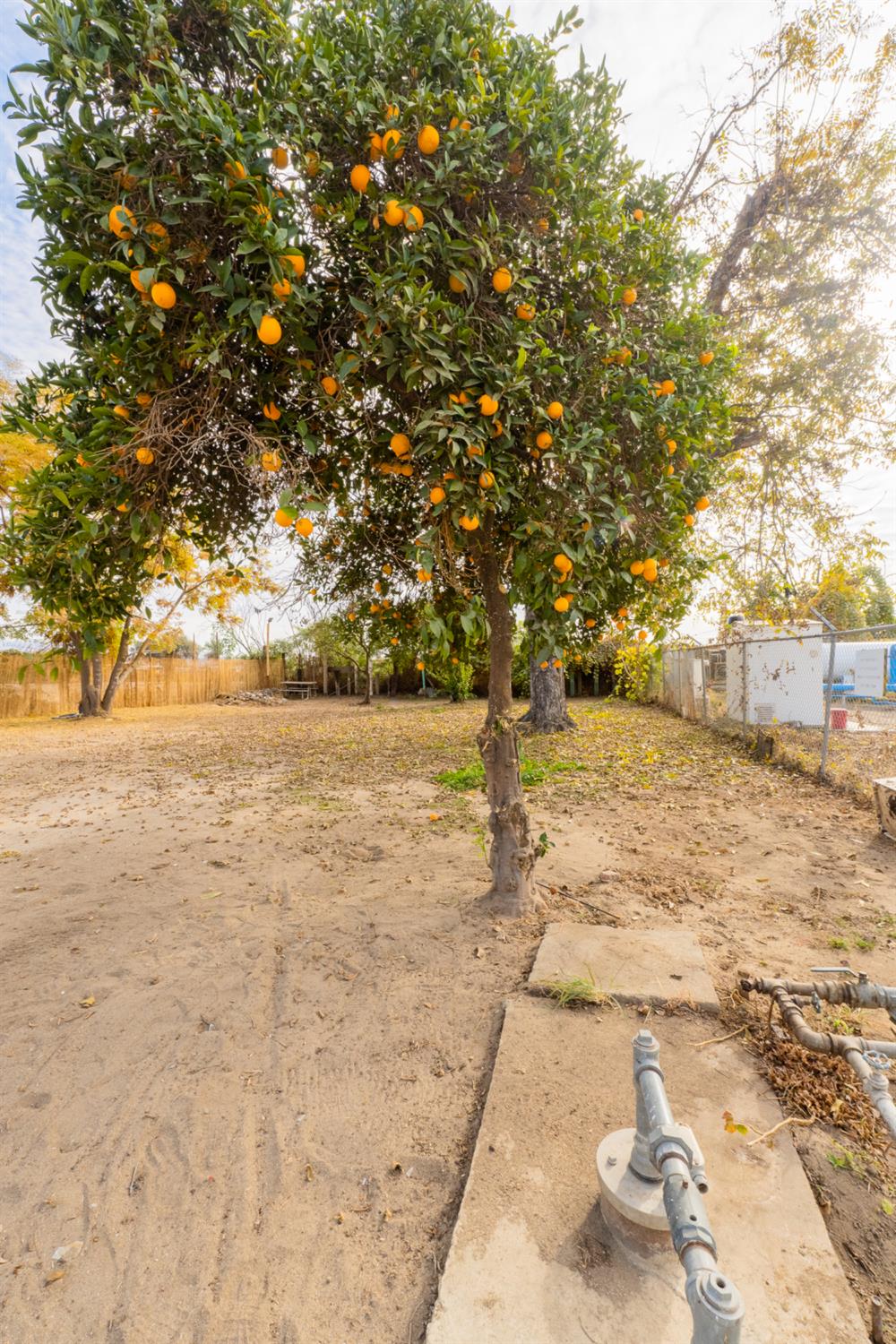 858 S Valencia Blvd S, Woodlake, CA 93286