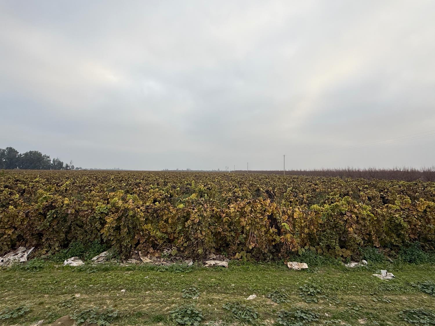 0 0 W Klepper Ave Ave W, Caruthers, CA 93609