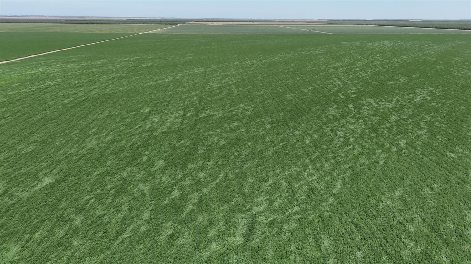 29922 Mountain View Ave, Cantua Creek, CA 93608