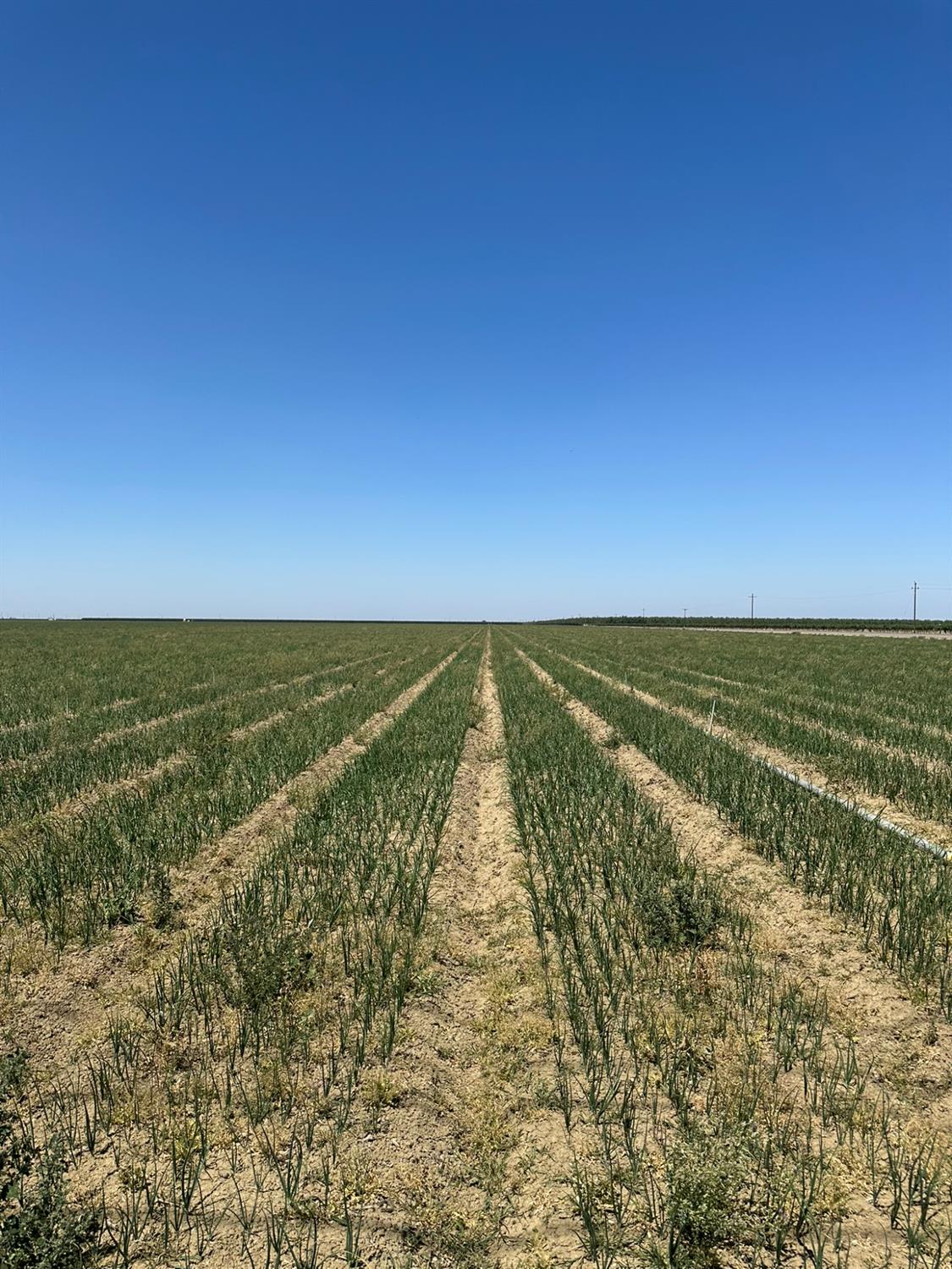 29922 Mountain View Ave, Cantua Creek, CA 93608