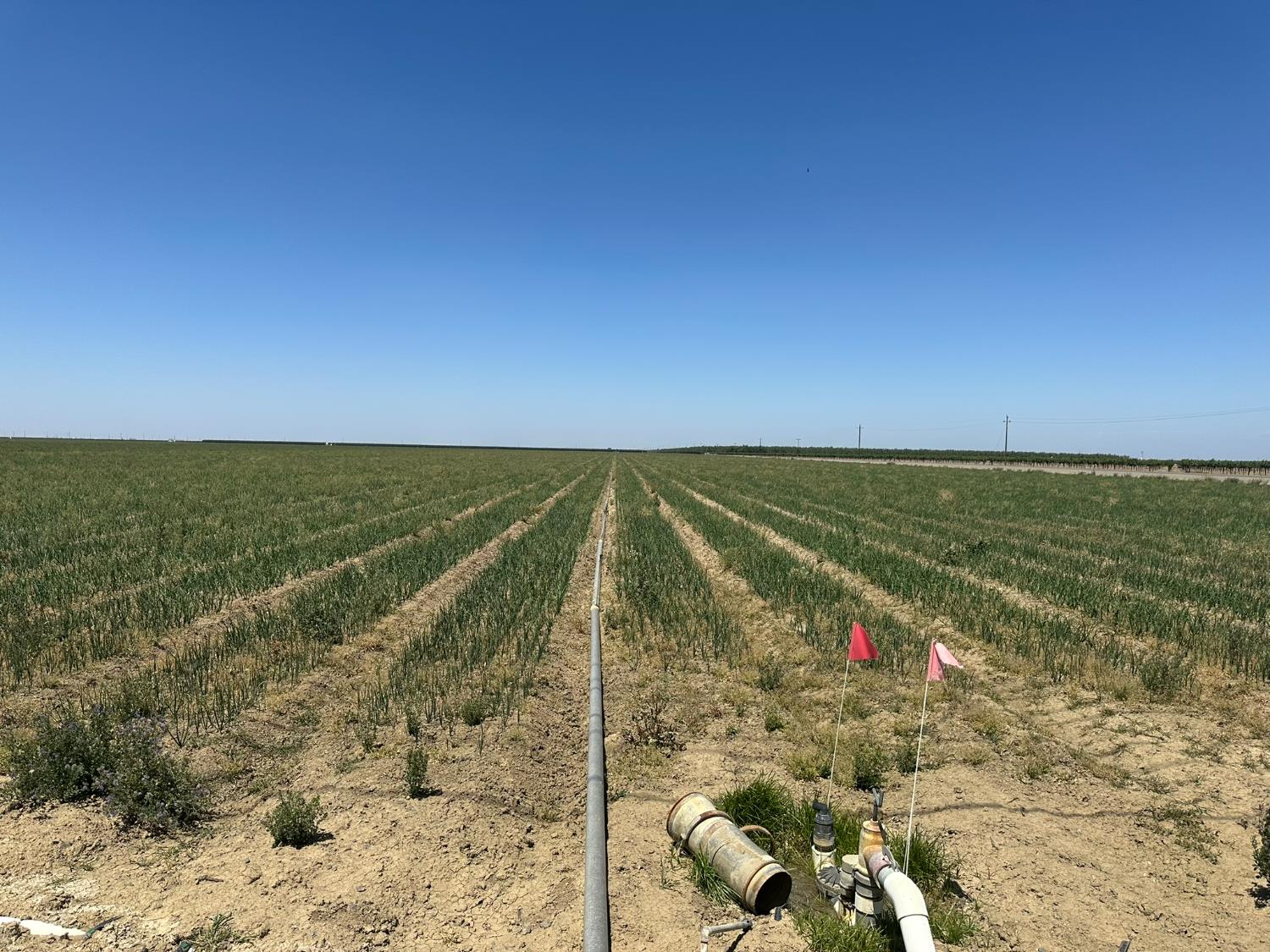 29922 Mountain View Ave, Cantua Creek, CA 93608