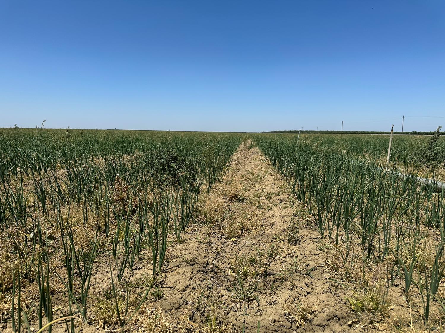 29922 Mountain View Ave, Cantua Creek, CA 93608