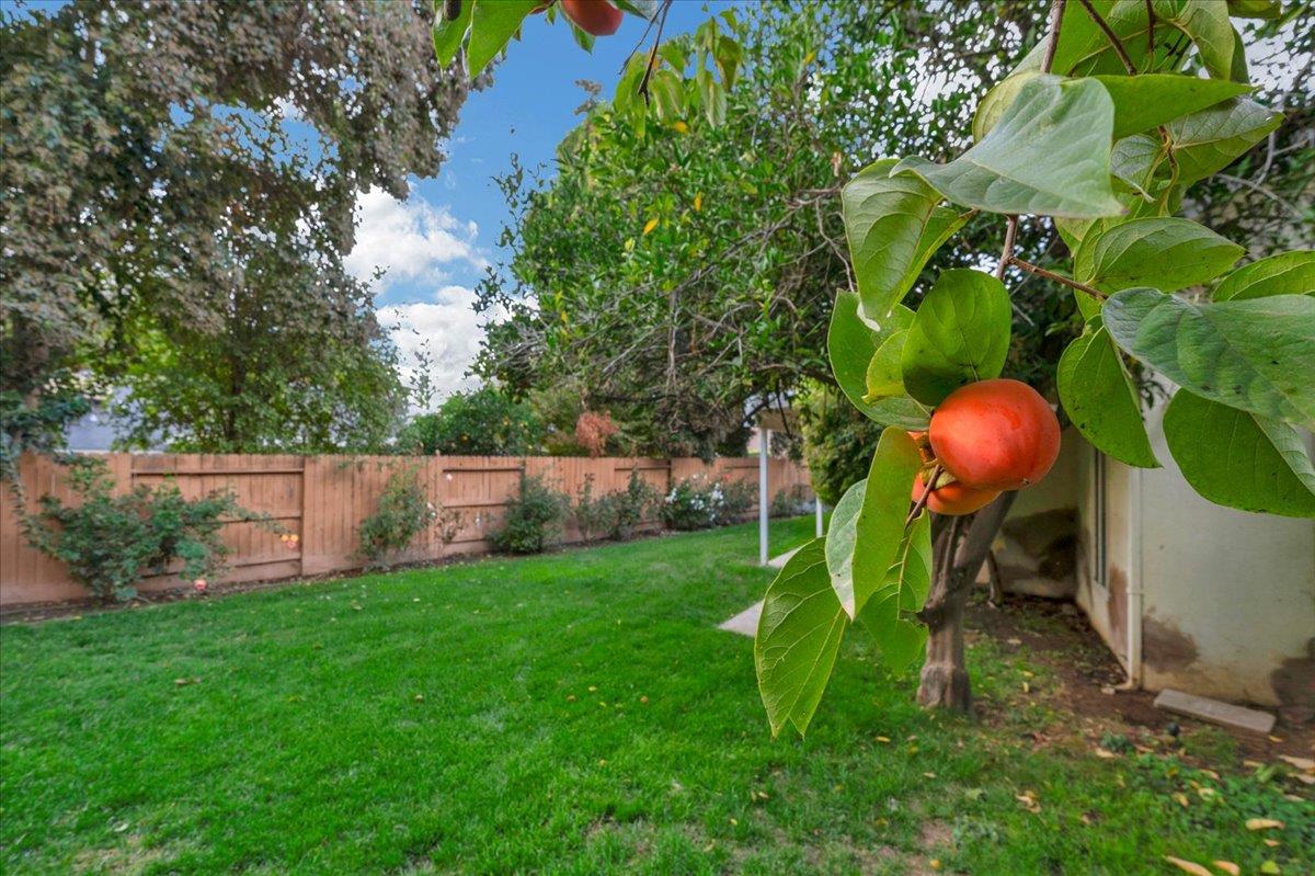 6691 N Feland Ave, Fresno, CA 93711