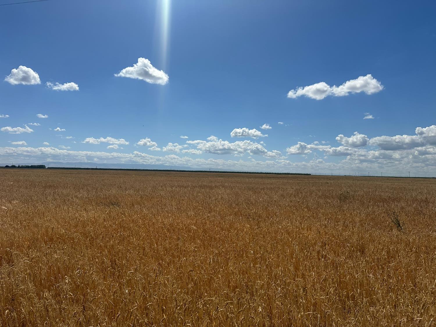 12250 S Jameson Ave, Fresno, CA 93706