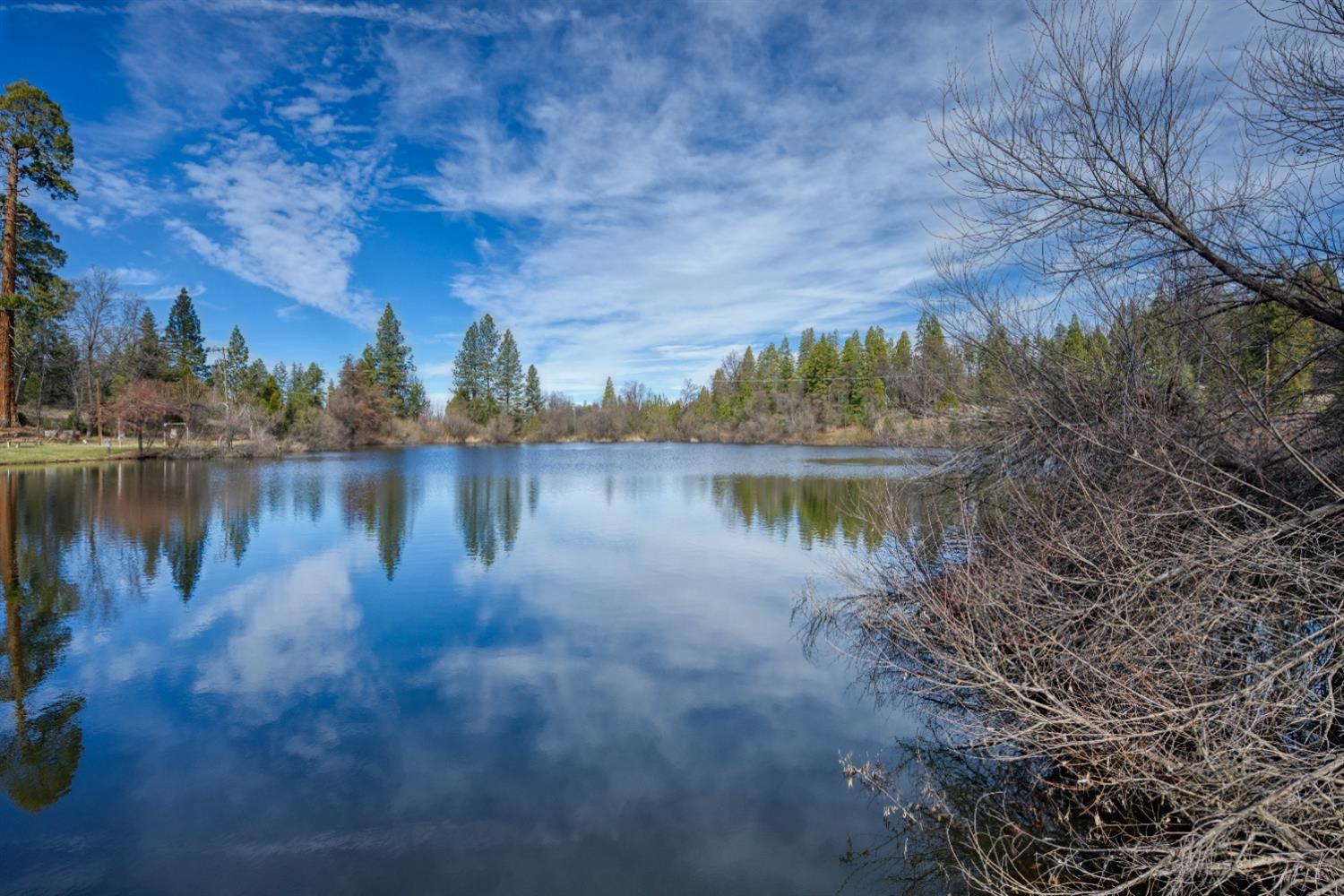 41835 Corlew Ln, Auberry, CA 93602