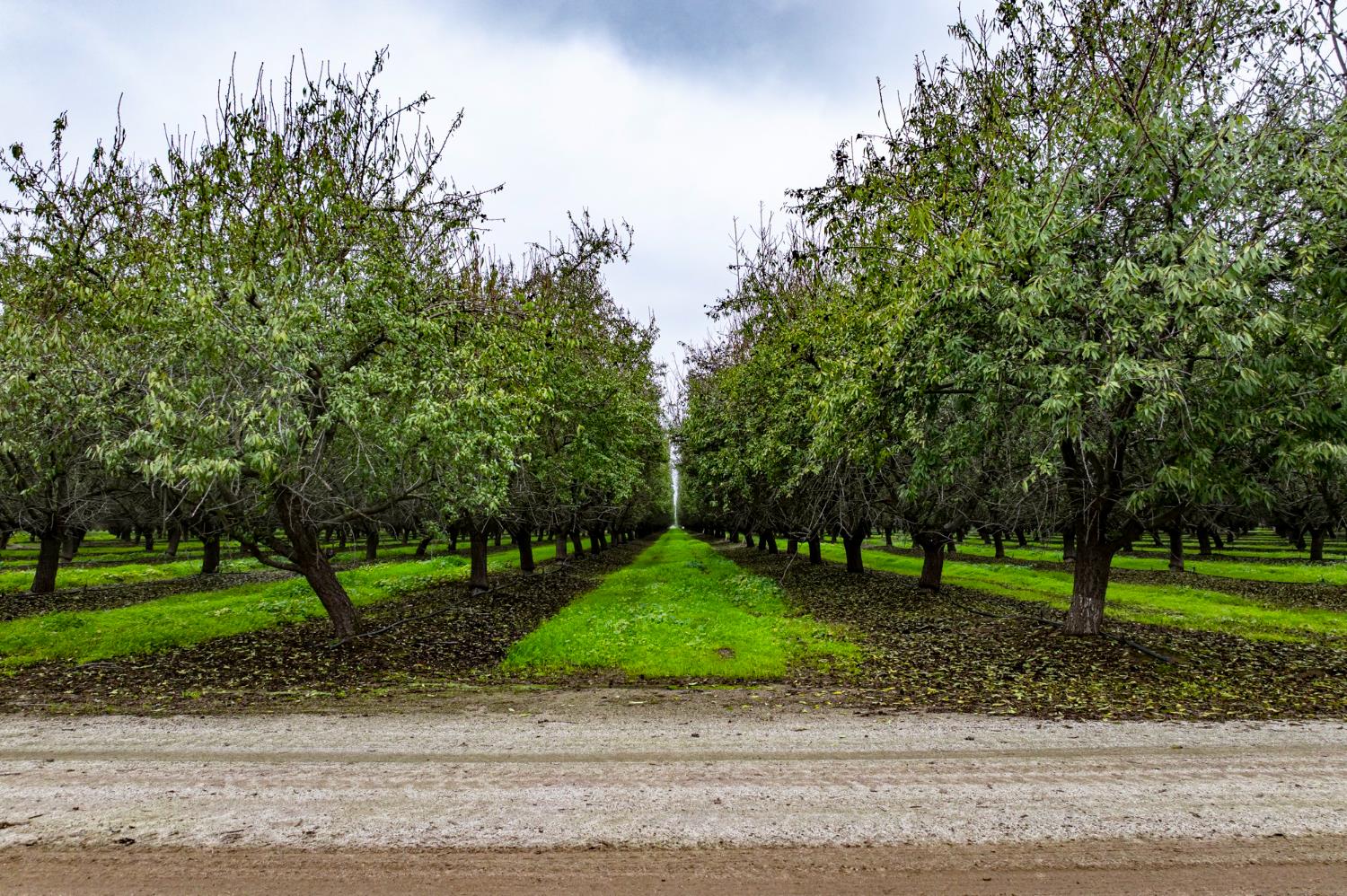 0 0 Deer Creek Rd, Earlimart, CA 93219