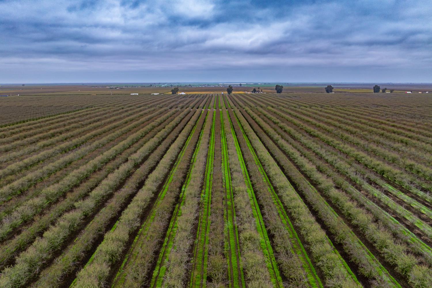 0 0 Deer Creek Rd, Earlimart, CA 93219