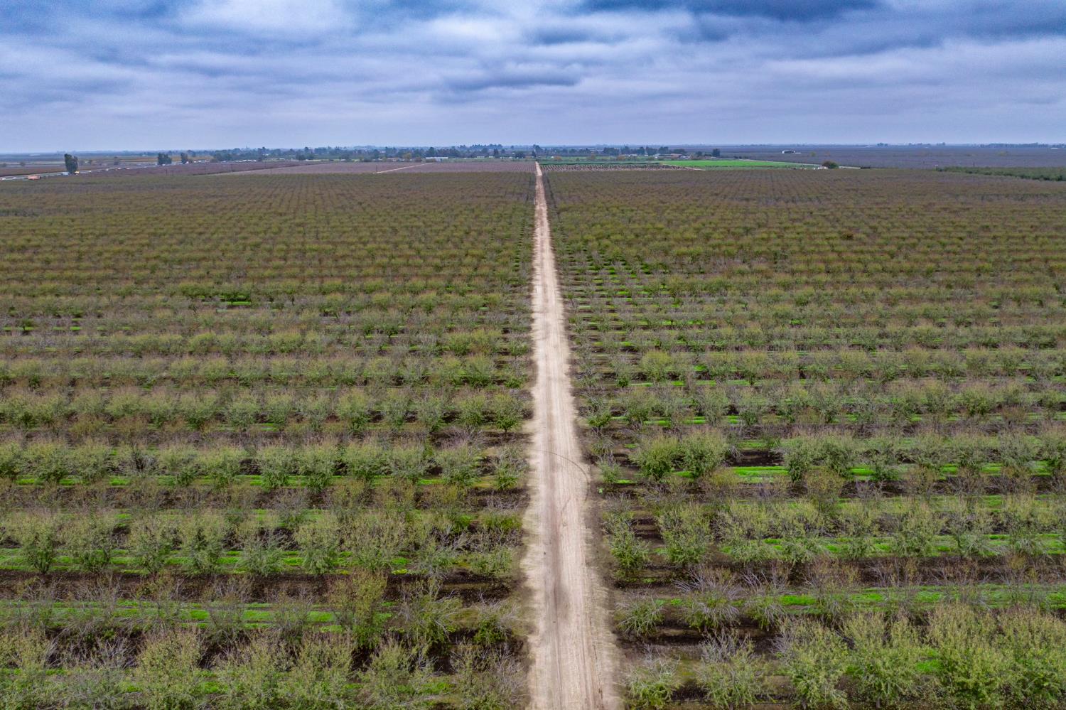 0 0 Deer Creek Rd, Earlimart, CA 93219