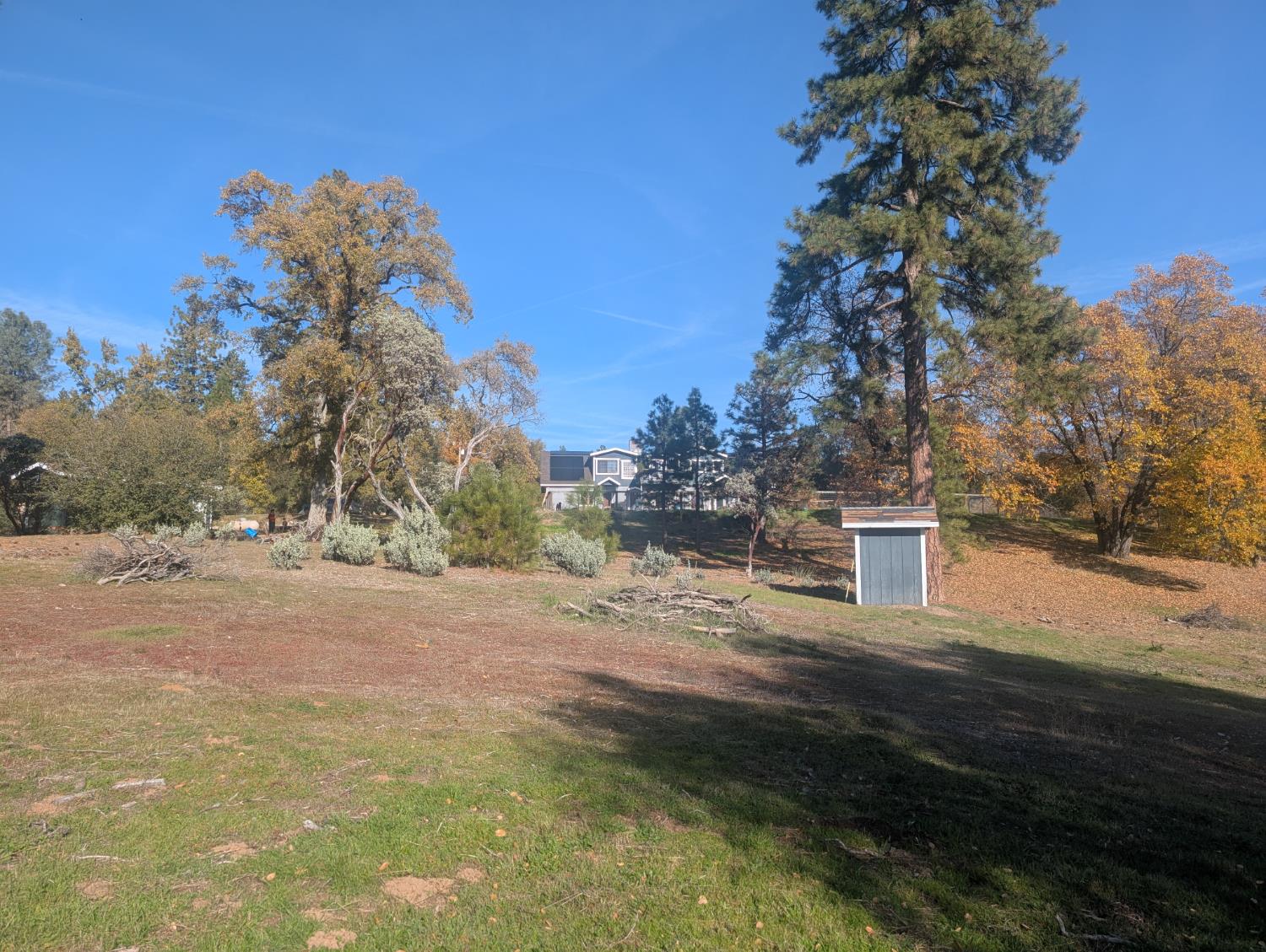 55110 Los Pinos Ln, Wishon, CA 93669